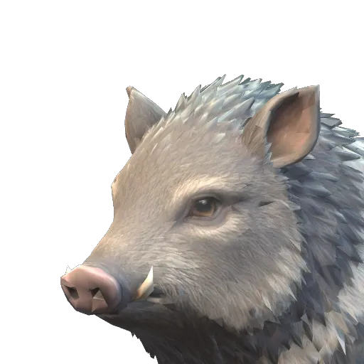 Portrait of the Coyametl