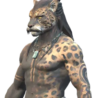 Portrait of the Nagual