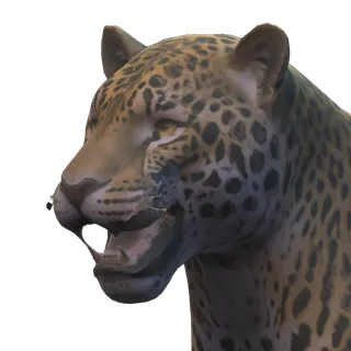 Portrait of the Obsidian Jaguar