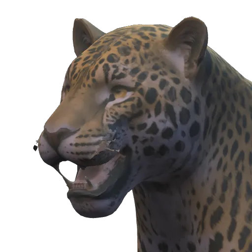 Portrait of the Obsidian Jaguar